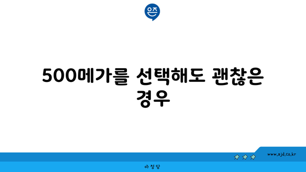 500메가를 선택해도 괜찮은 경우