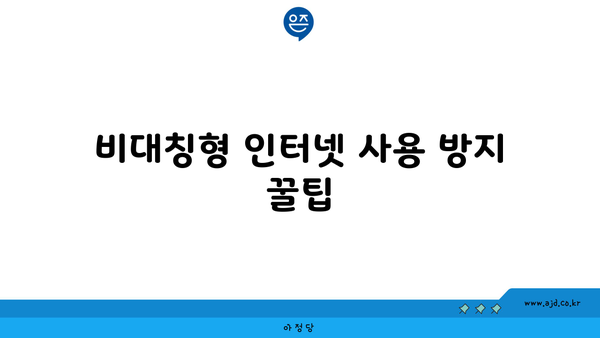 비대칭형 인터넷 사용 방지 꿀팁