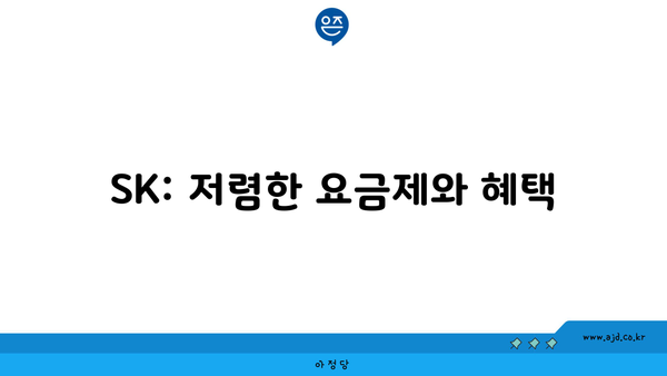 SK: 저렴한 요금제와 혜택