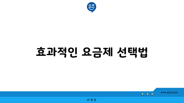 효과적인 요금제 선택법