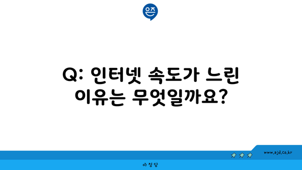 Q: 인터넷 속도가 느린 이유는 무엇일까요?