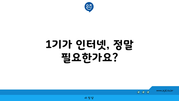 1기가 인터넷, 정말 필요한가요?