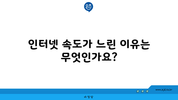 인터넷 속도가 느린 이유는 무엇인가요?