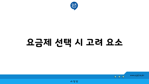 요금제 선택 시 고려 요소