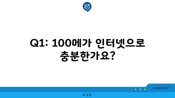 Q1: 100메가 인터넷으로 충분한가요?