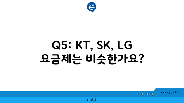 Q5: KT, SK, LG 요금제는 비슷한가요?