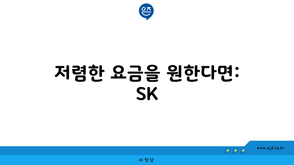 저렴한 요금을 원한다면: SK