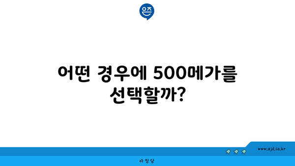 어떤 경우에 500메가를 선택할까?