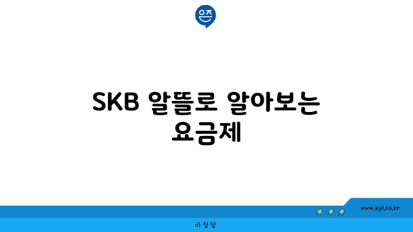 SKB 알뜰로 알아보는 요금제