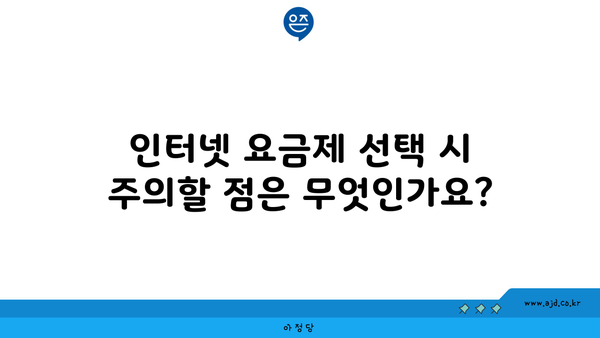 인터넷 요금제 선택 시 주의할 점은 무엇인가요?