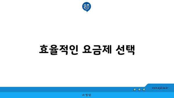 효율적인 요금제 선택