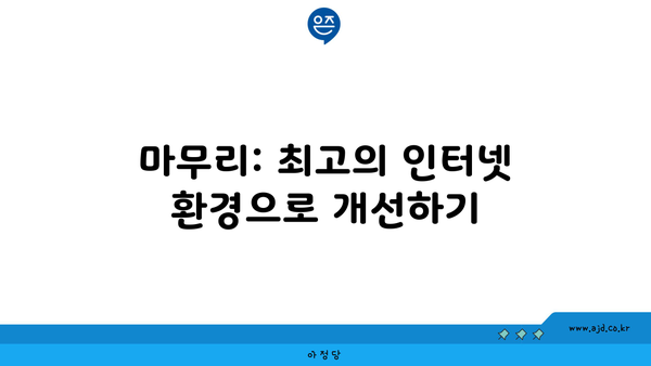 마무리: 최고의 인터넷 환경으로 개선하기